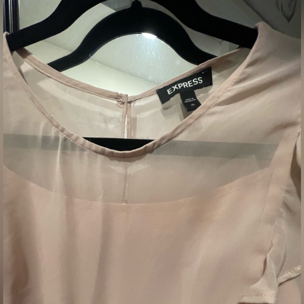 Express Light Pink Sheer Dress